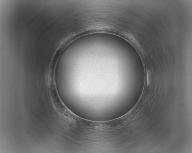 X0000071340579200606231140