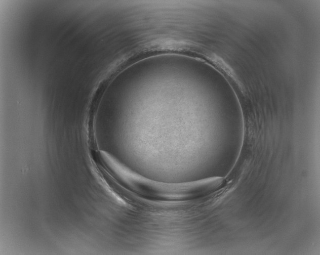 X0000071340581200606231140