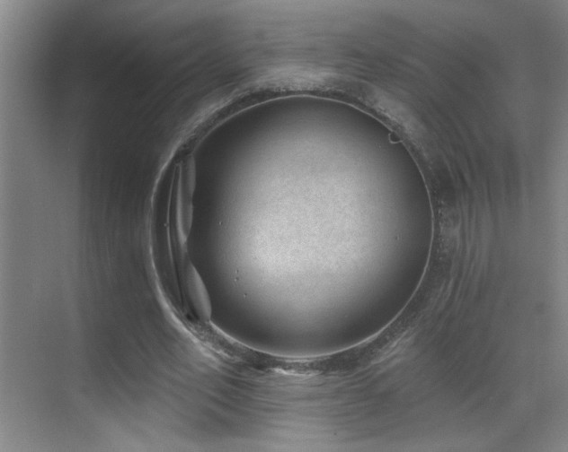 X0000071340582200606231140