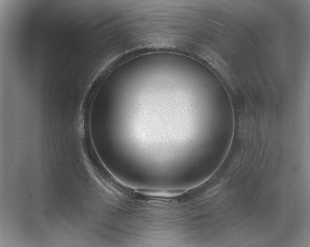 X0000071340584200606231140