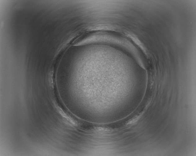 X0000071340585200606231140