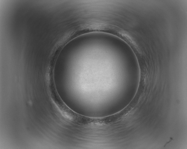 X0000071340586200606231140