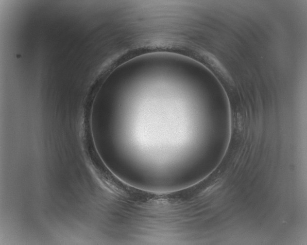 X0000071340588200606231140