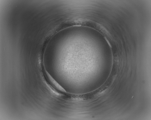 X0000071340593200606231140