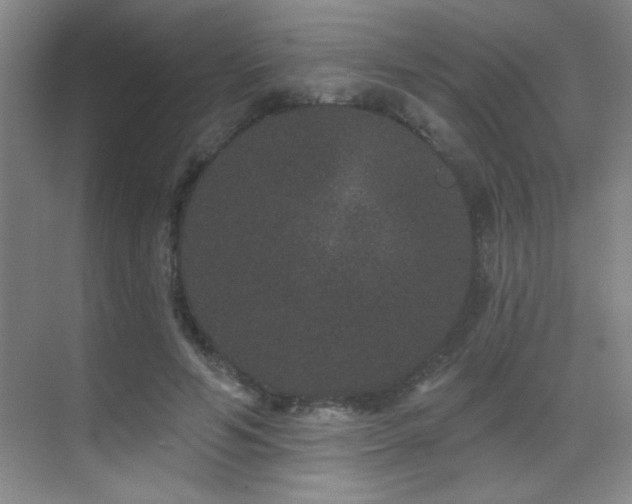 X0000071340594200606231140