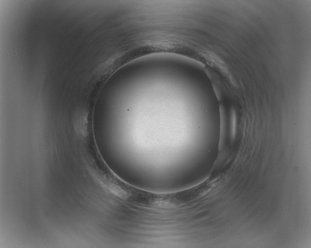 X0000071340596200606231140