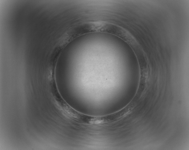 X0000071340602200606231140