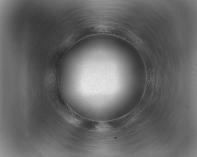 X0000071340603200606231140