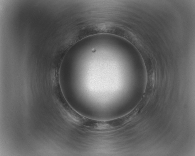 X0000071340605200606231140