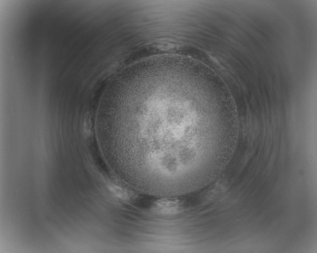 X0000071340606200606231140