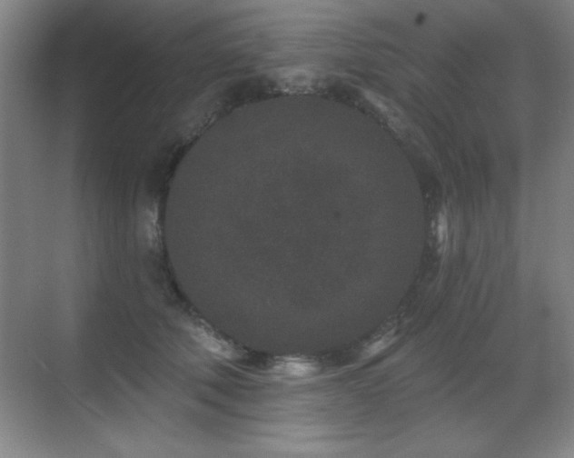 X0000071340610200606231140