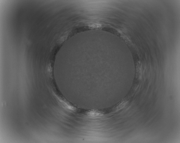 X0000071340614200606231140