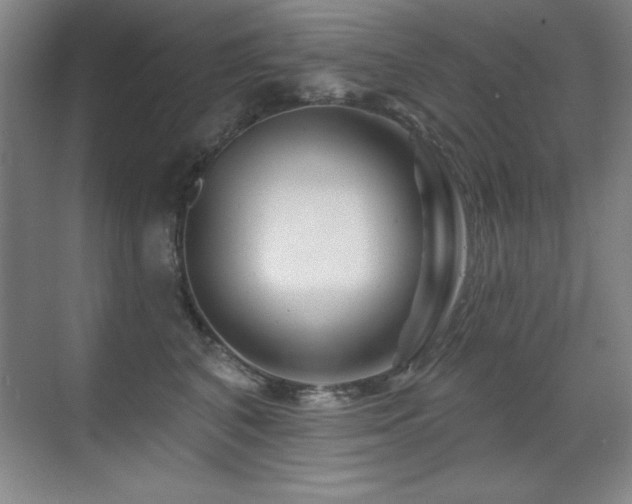 X0000071340616200606231140