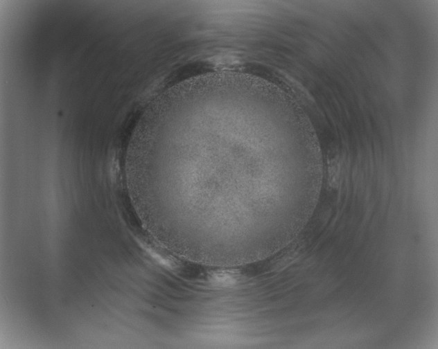 X0000071340618200606231140