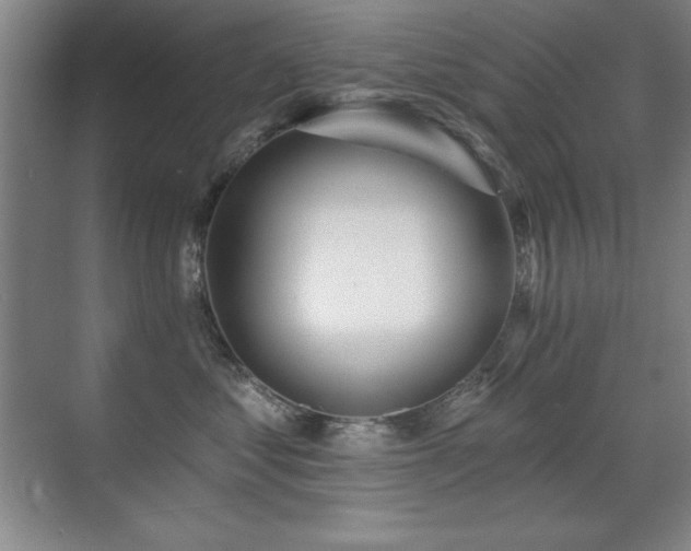 X0000071340621200606231140