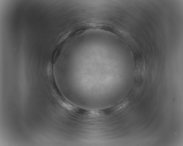 X0000071340623200606231140