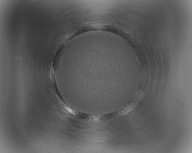 X0000071340624200606231140