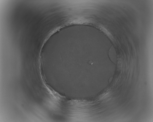 X0000071340626200606231139