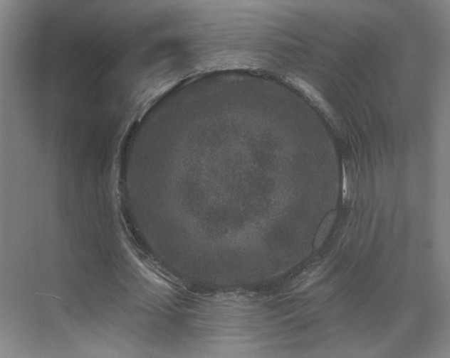 X0000071340627200606231139