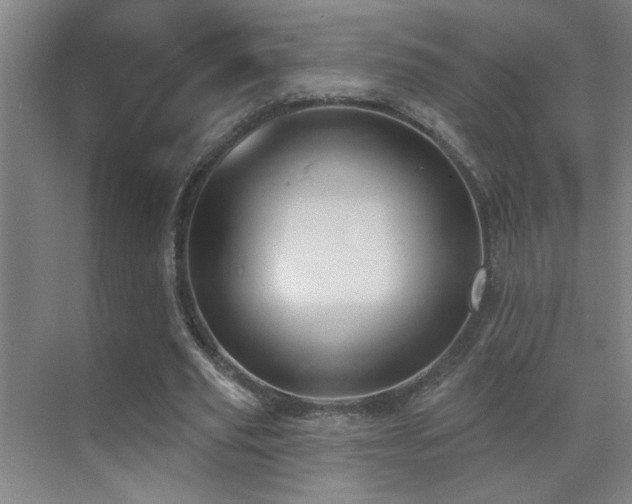 X0000071340629200606231139