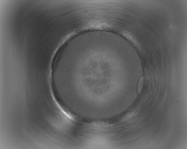 X0000071340630200606231139