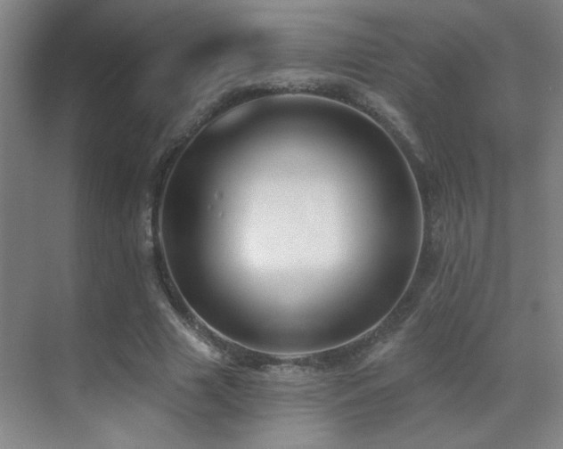 X0000071340633200606231139