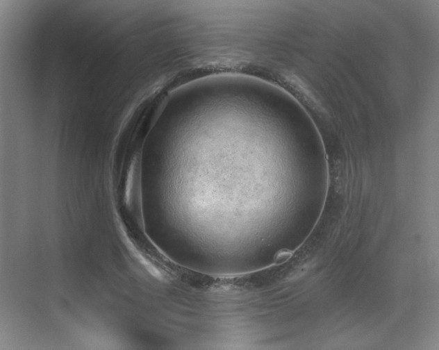 X0000071340634200606231139