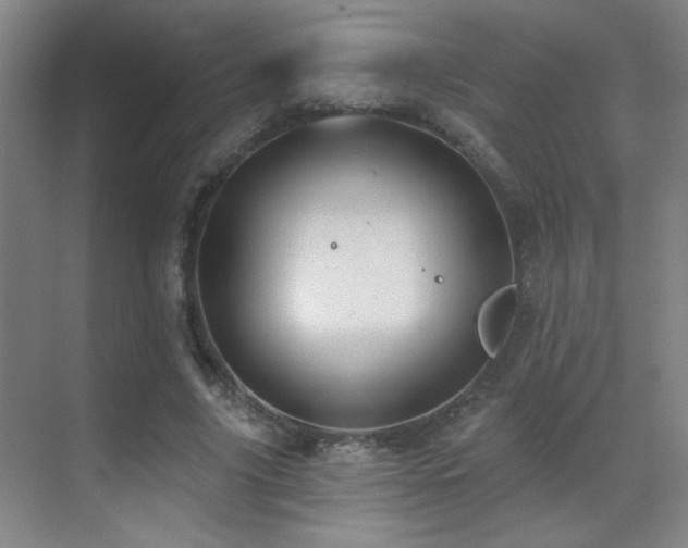 X0000071340635200606231139