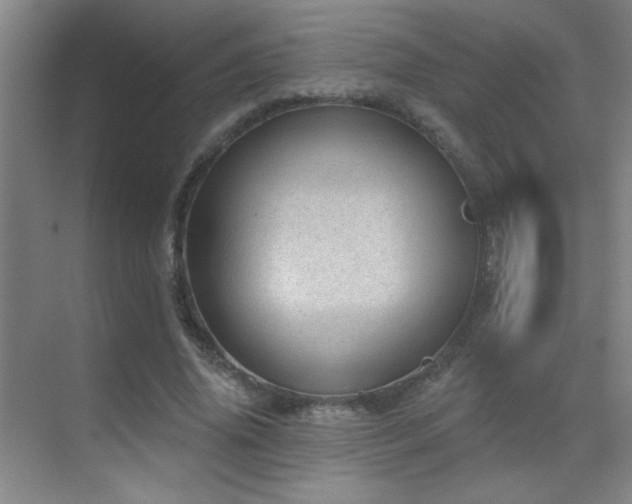 X0000071340636200606231139