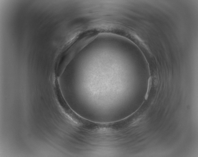 X0000071340637200606231139