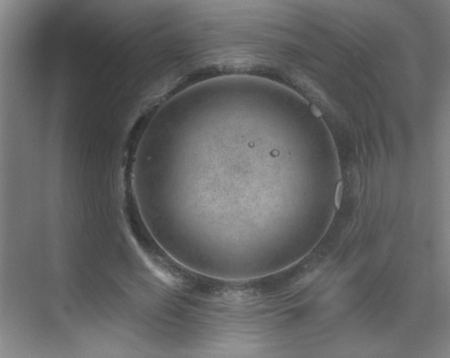 X0000071340638200606231139