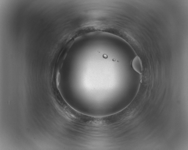 X0000071340639200606231139