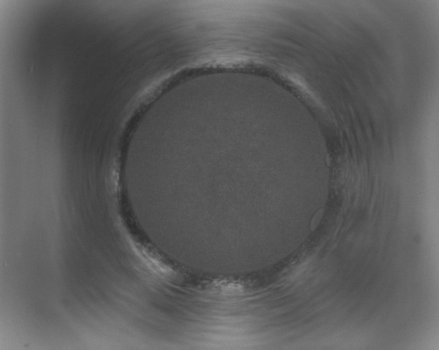 X0000071340640200606231139