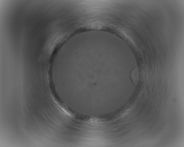 X0000071340641200606231139