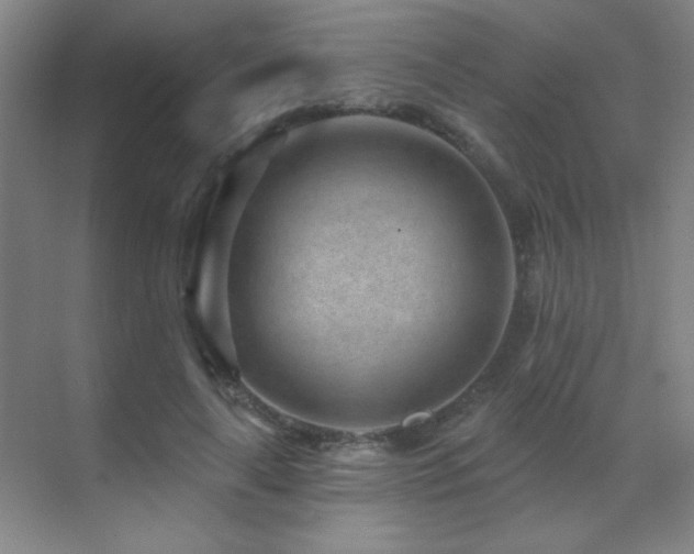 X0000071340643200606231139