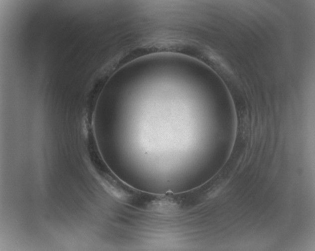 X0000071340644200606231139