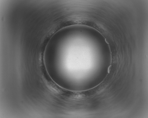 X0000071340646200606231139