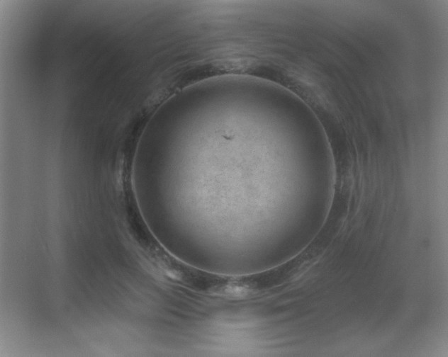 X0000071340647200606231139