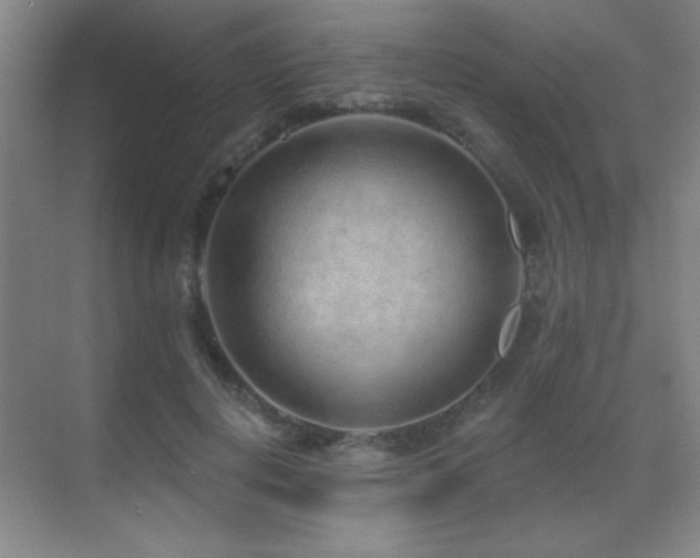 X0000071340648200606231139