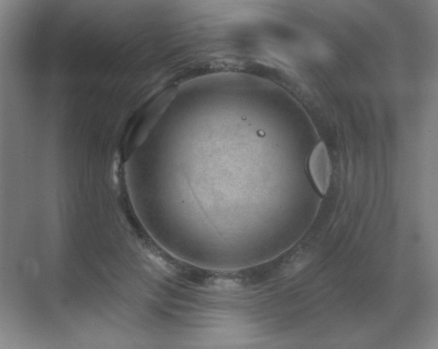 X0000071340649200606231139