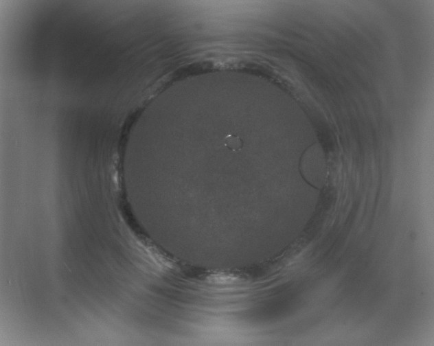 X0000071340650200606231139