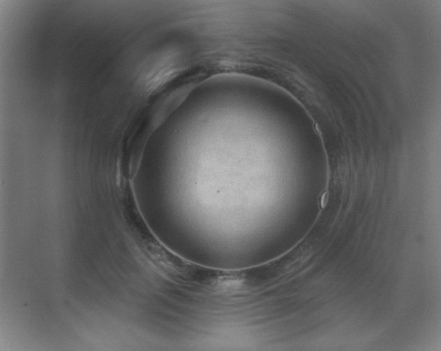 X0000071340651200606231139