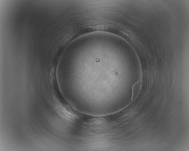 X0000071340652200606231139