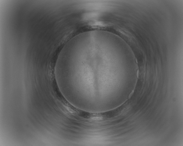 X0000071340653200606231139