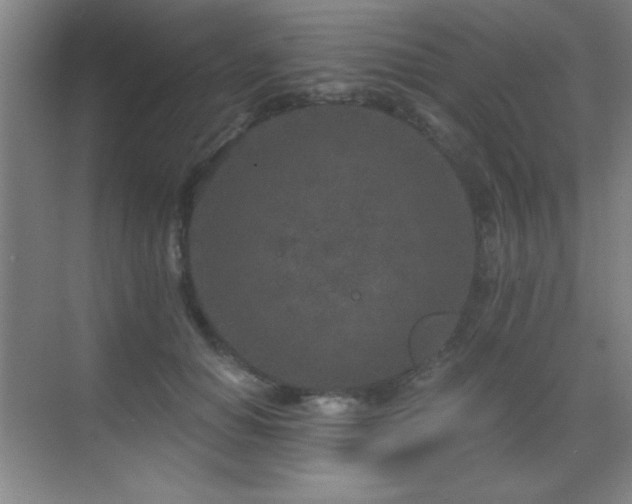 X0000071340654200606231139