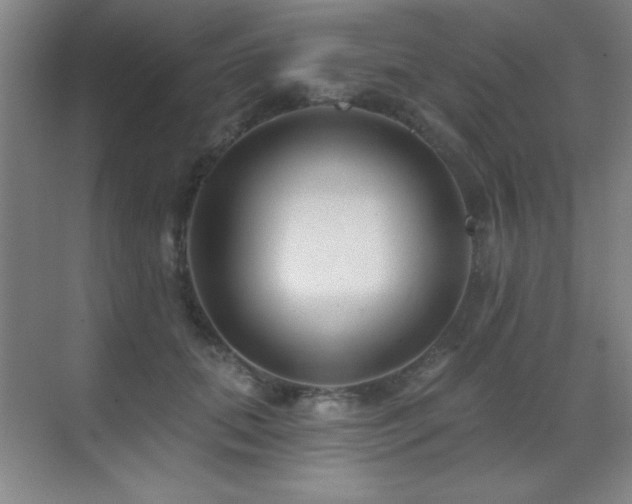 X0000071340655200606231139