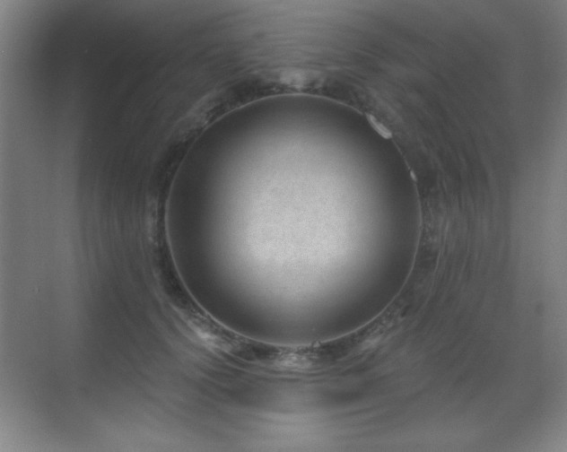 X0000071340656200606231139