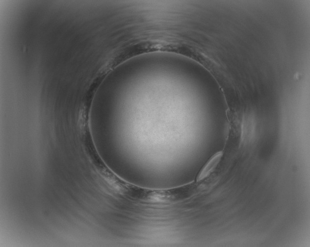 X0000071340657200606231139