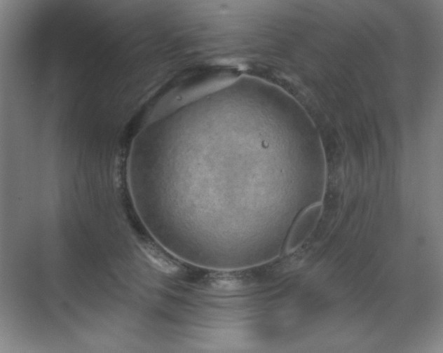 X0000071340658200606231139