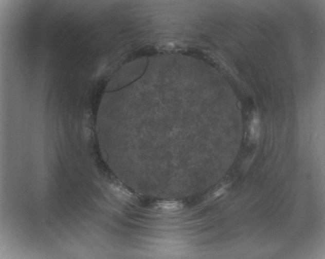 X0000071340659200606231139